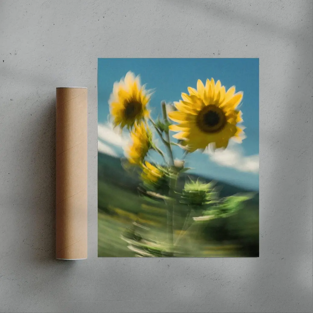 Sunflower Sway