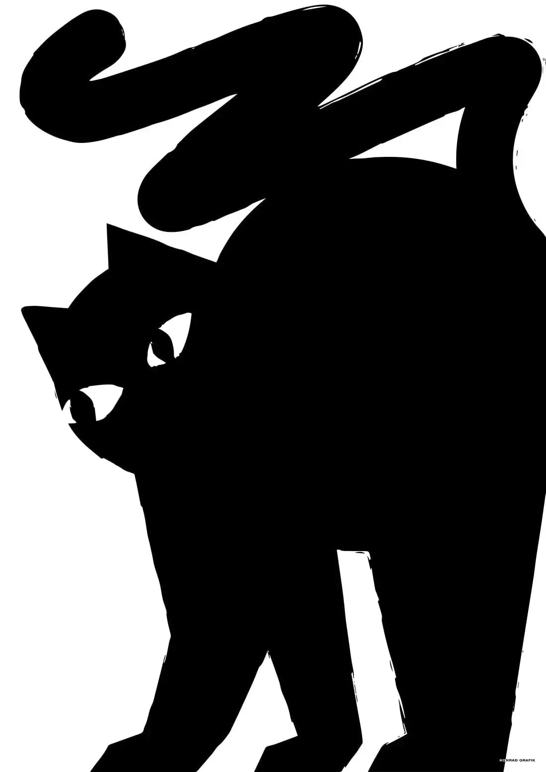 11277-black-cat-2.jpg Black cat