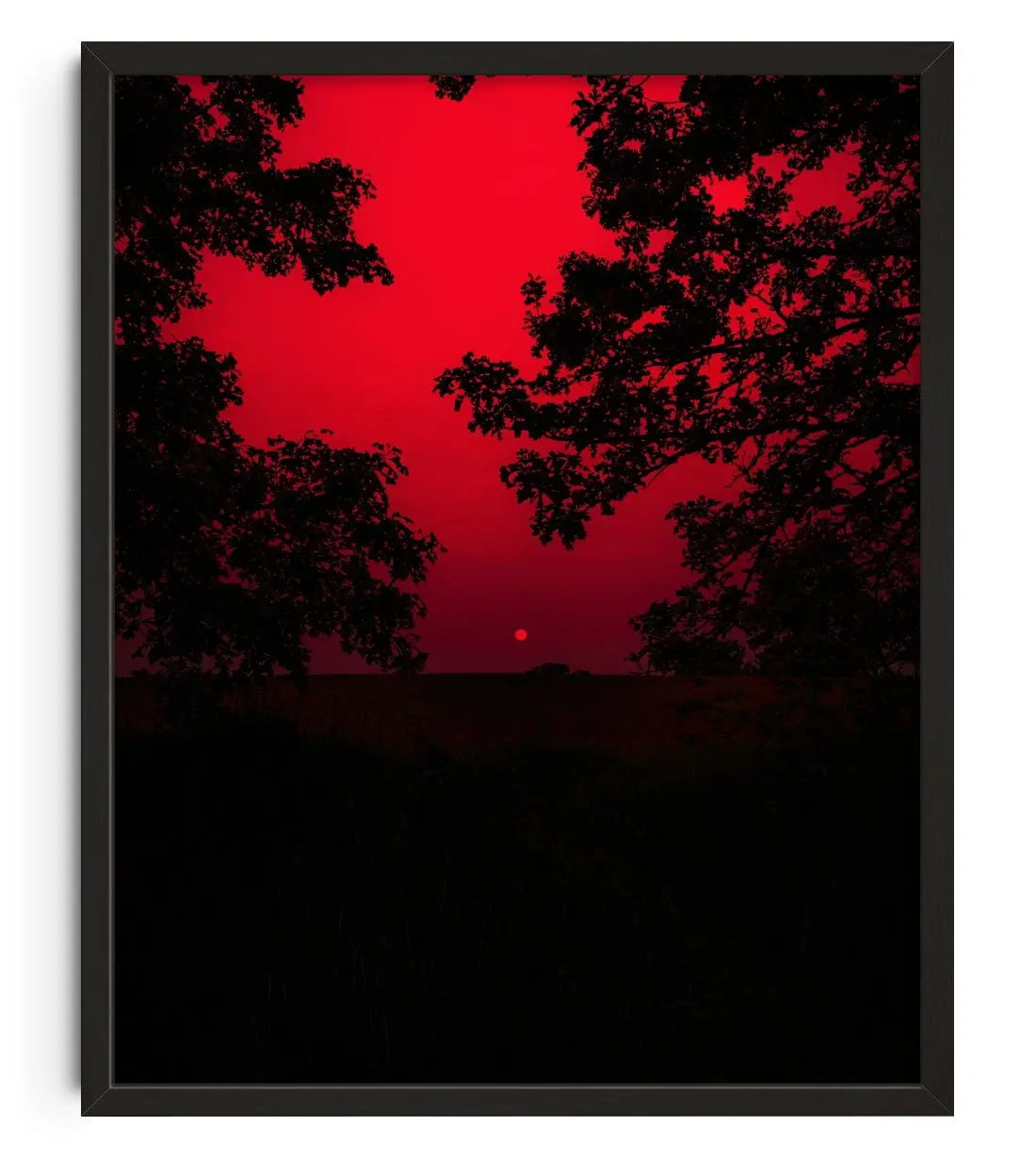 Red Sunset