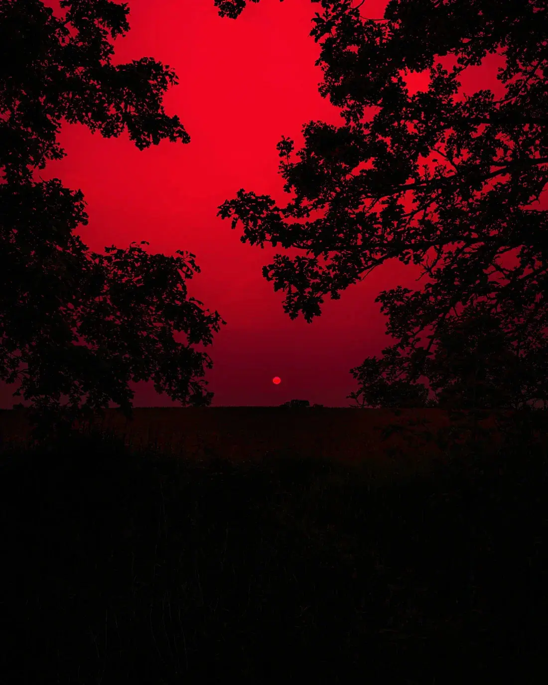 Red Sunset