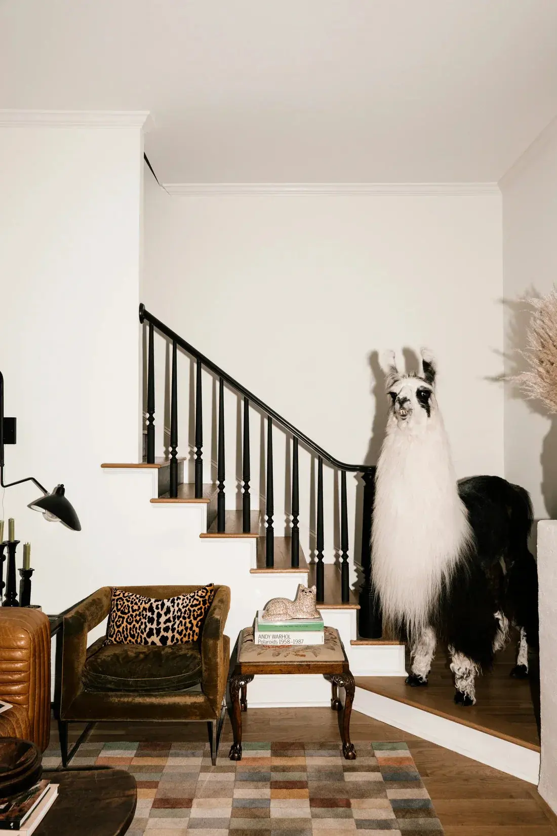 A Welcome Llama