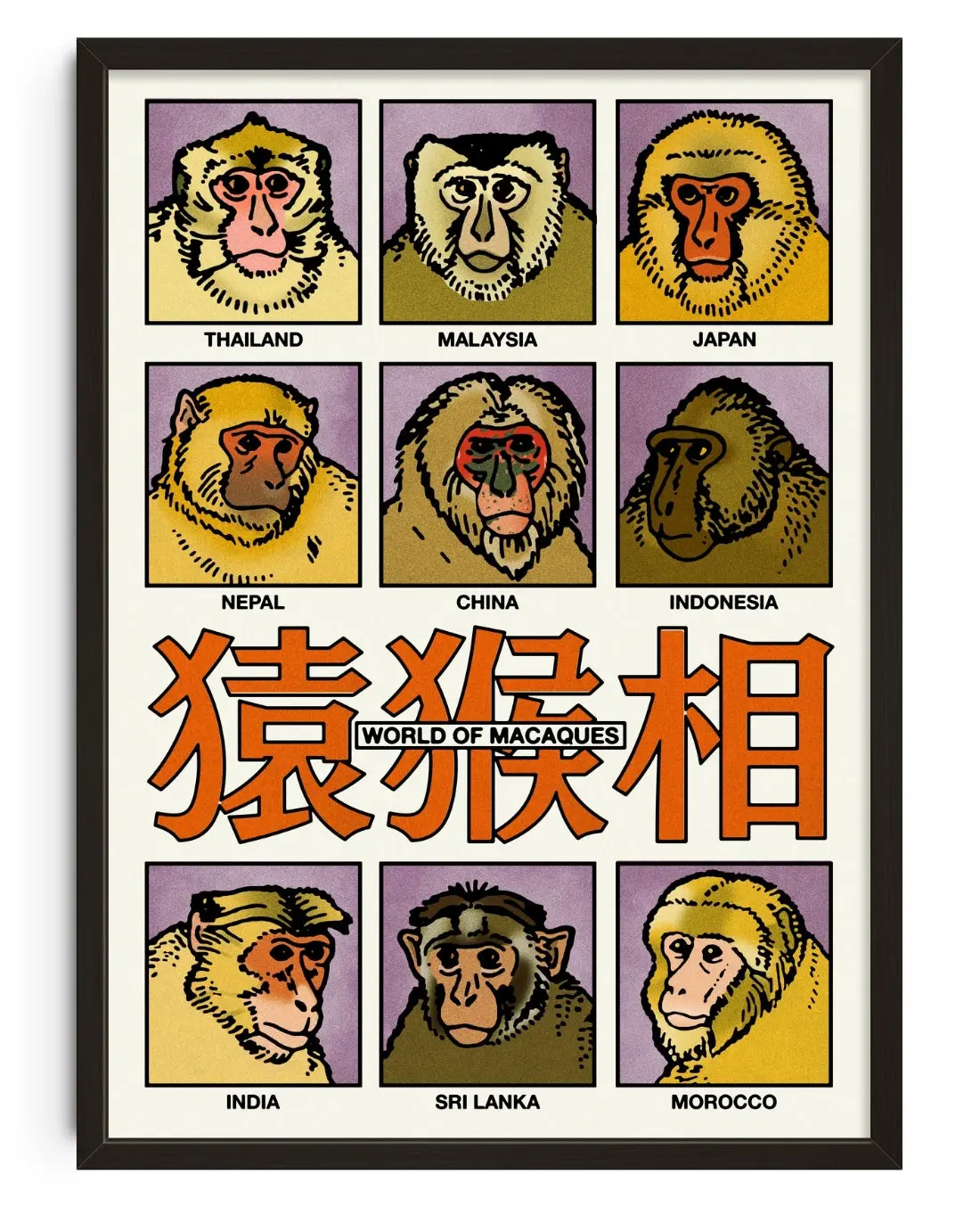 12290-world-of-macaques-1.webp World of Macaques
