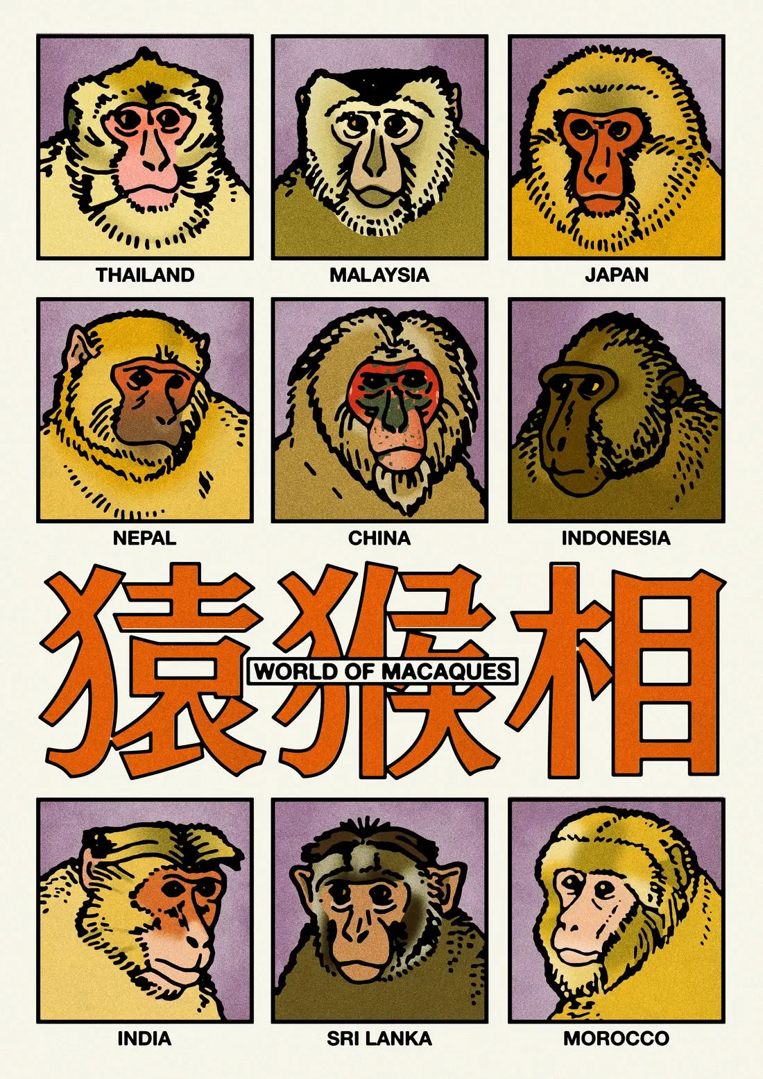 World of Macaques