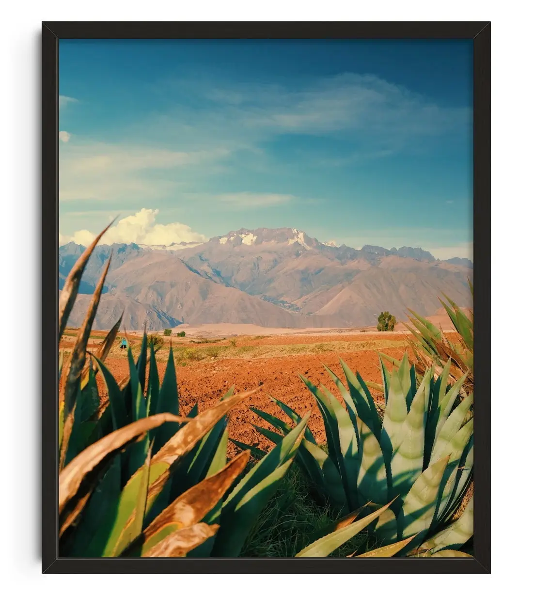 Desert Peak