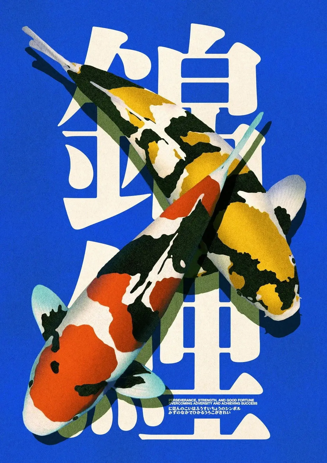 Nishikigoi 4