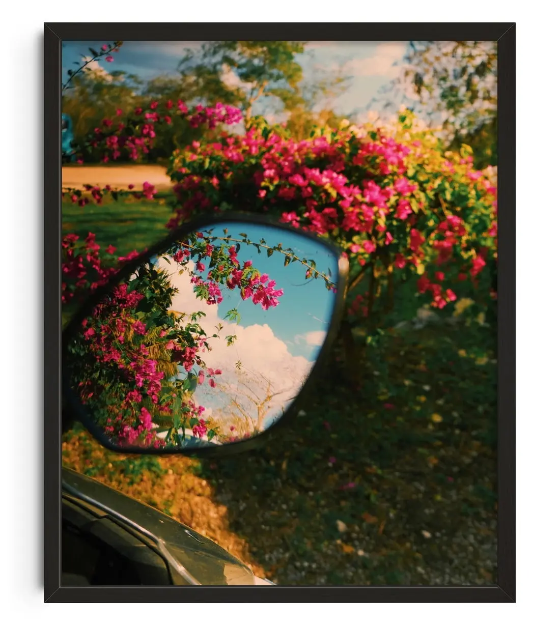 1449-mirror-bloom-1.webp Mirror Bloom