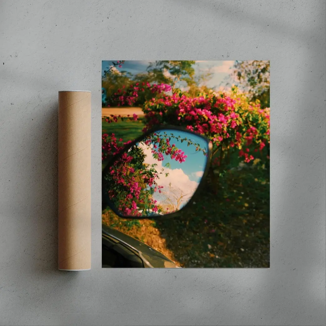Mirror Bloom