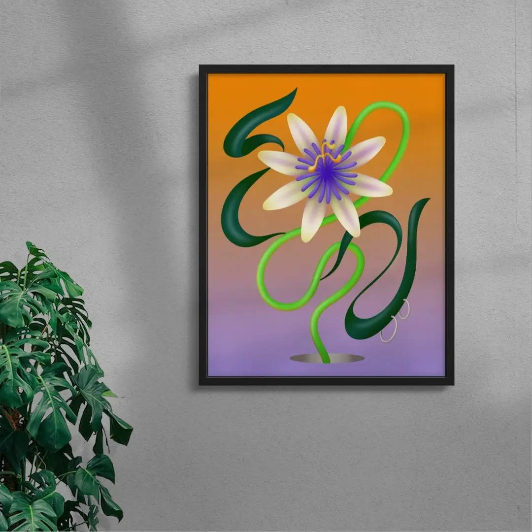 1538-passiflore-4.webp Passiflore