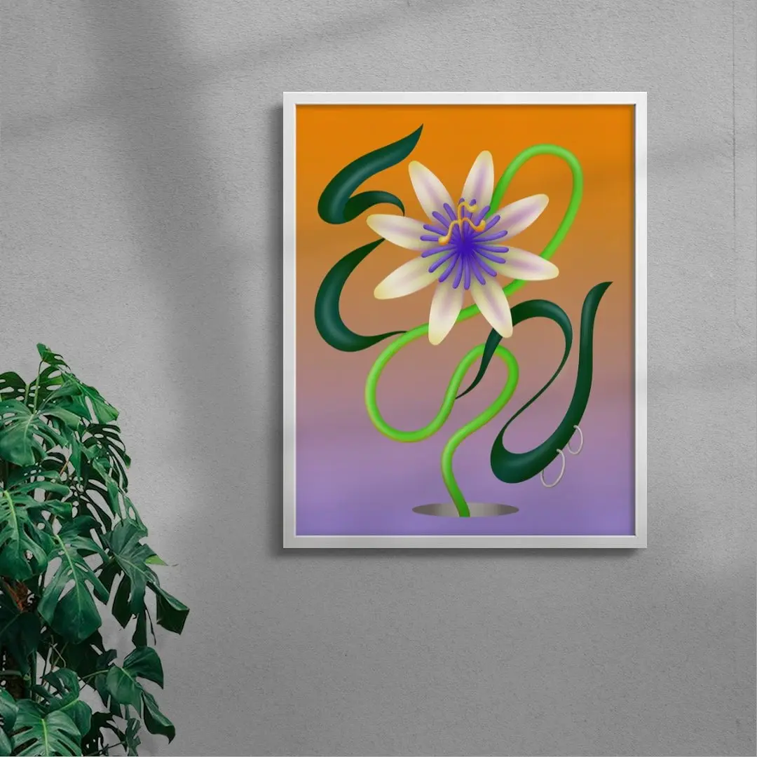 1538-passiflore-5.webp Passiflore