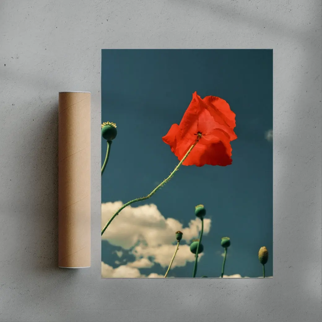 East London poppies