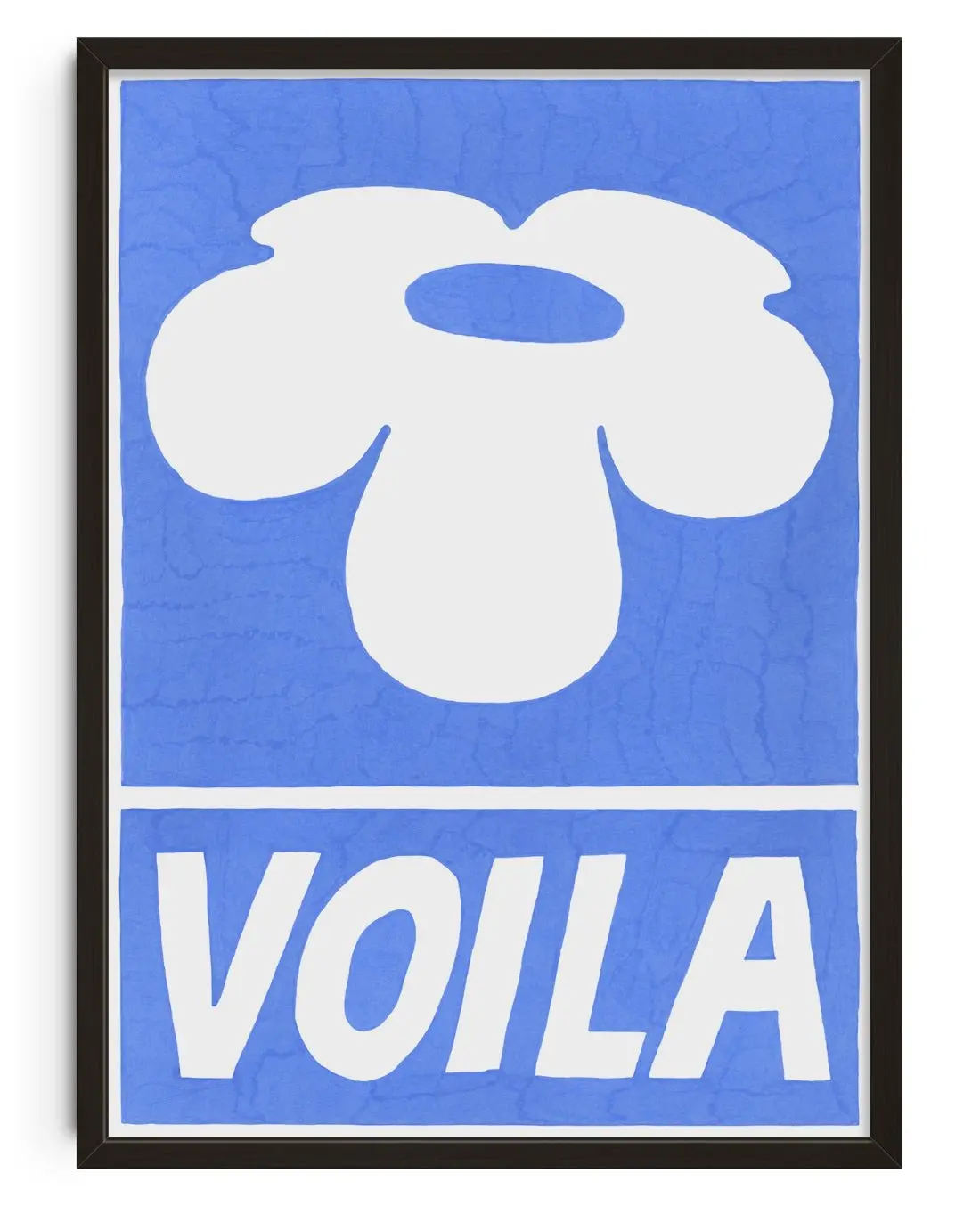 16241-voila-1.webp Voila