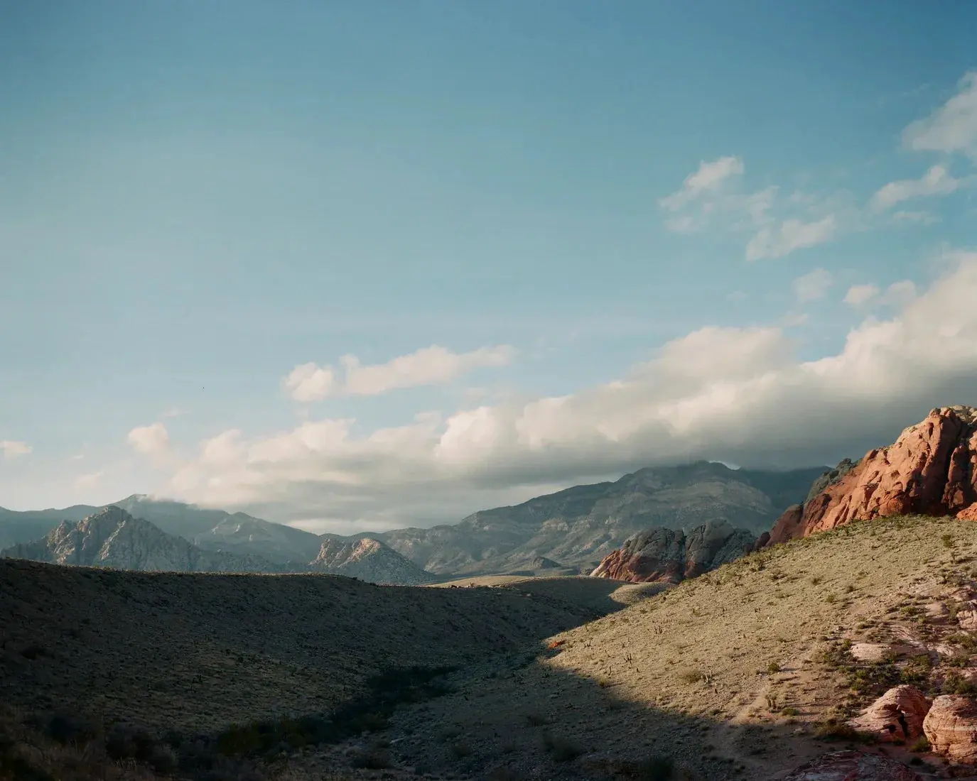 Desert Hush