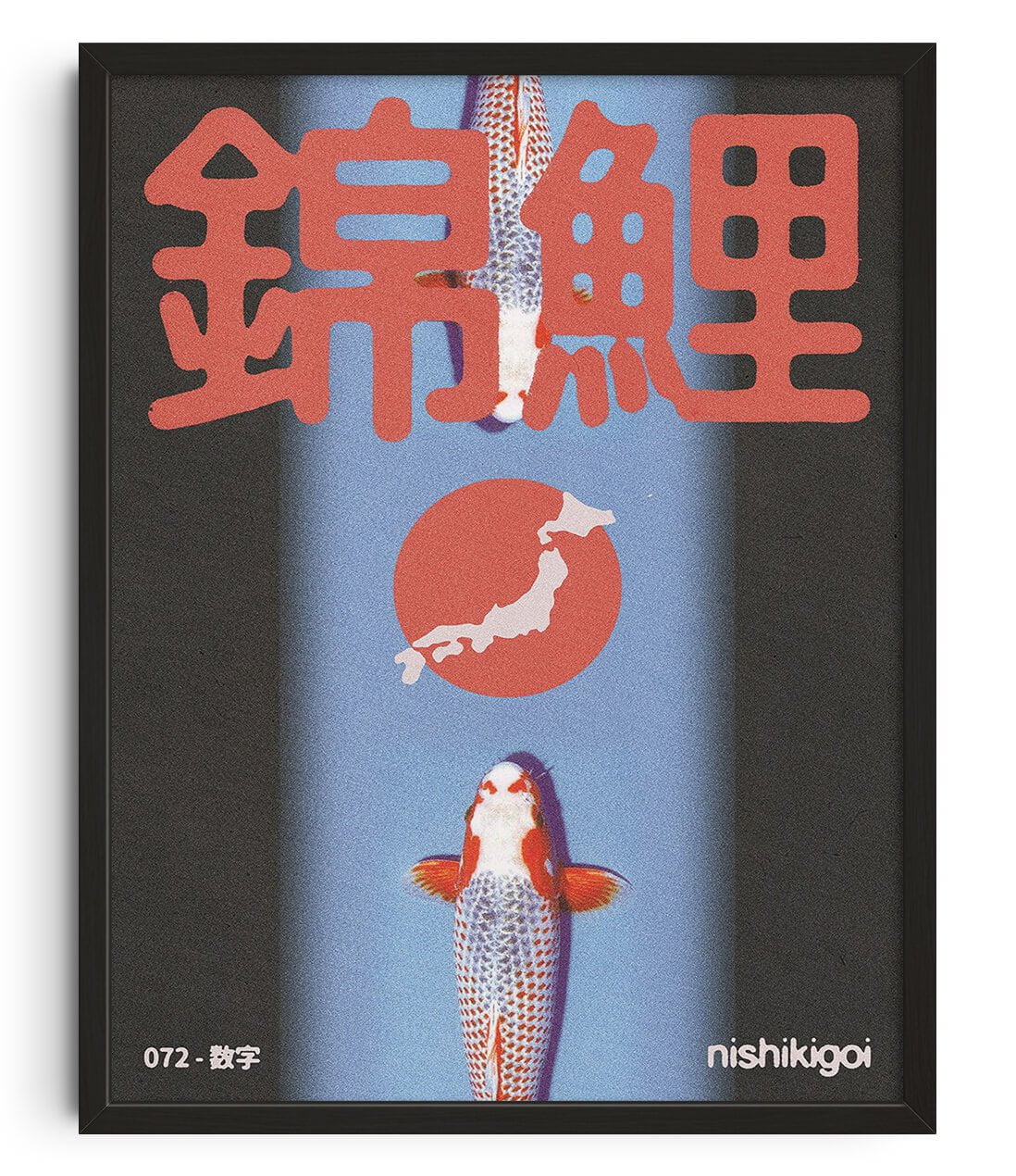 17736-nishikigoi-1.jpg Nishikigoi