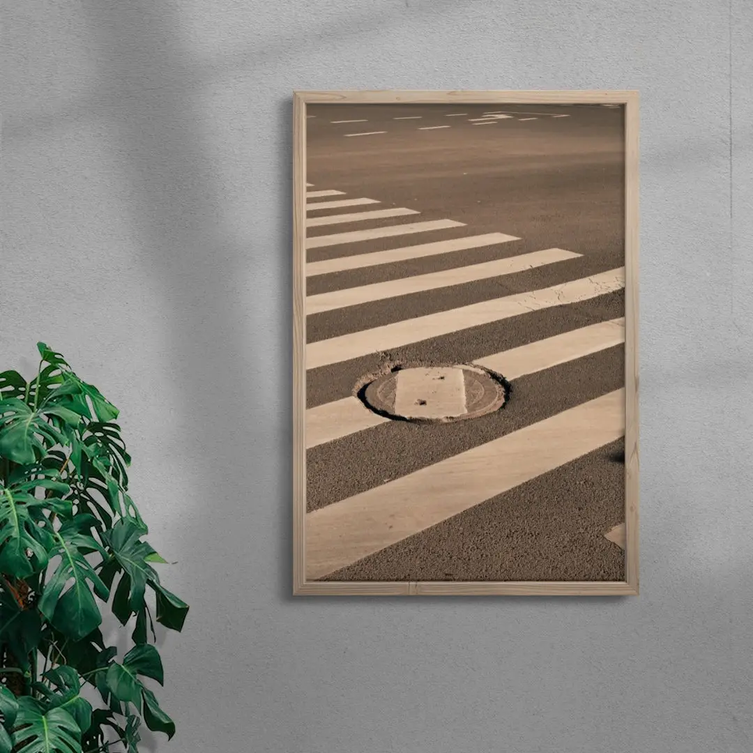 17785-zebra-crossing-6.webp Zebra Crossing