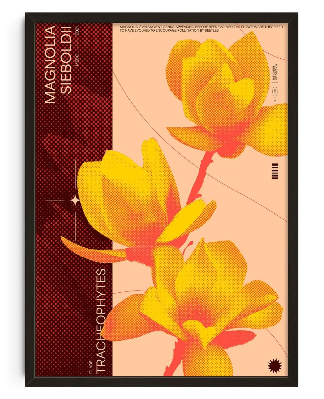 18221-magnolia-1.webp Magnolia