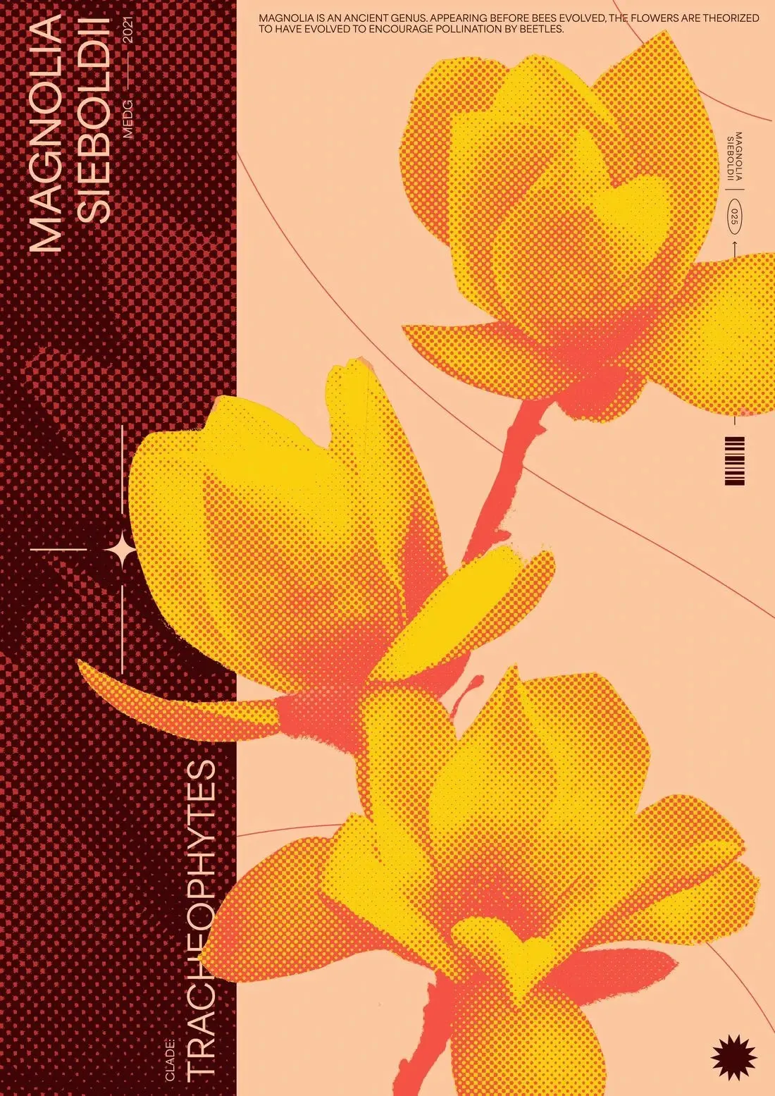 18221-magnolia-2.webp Magnolia