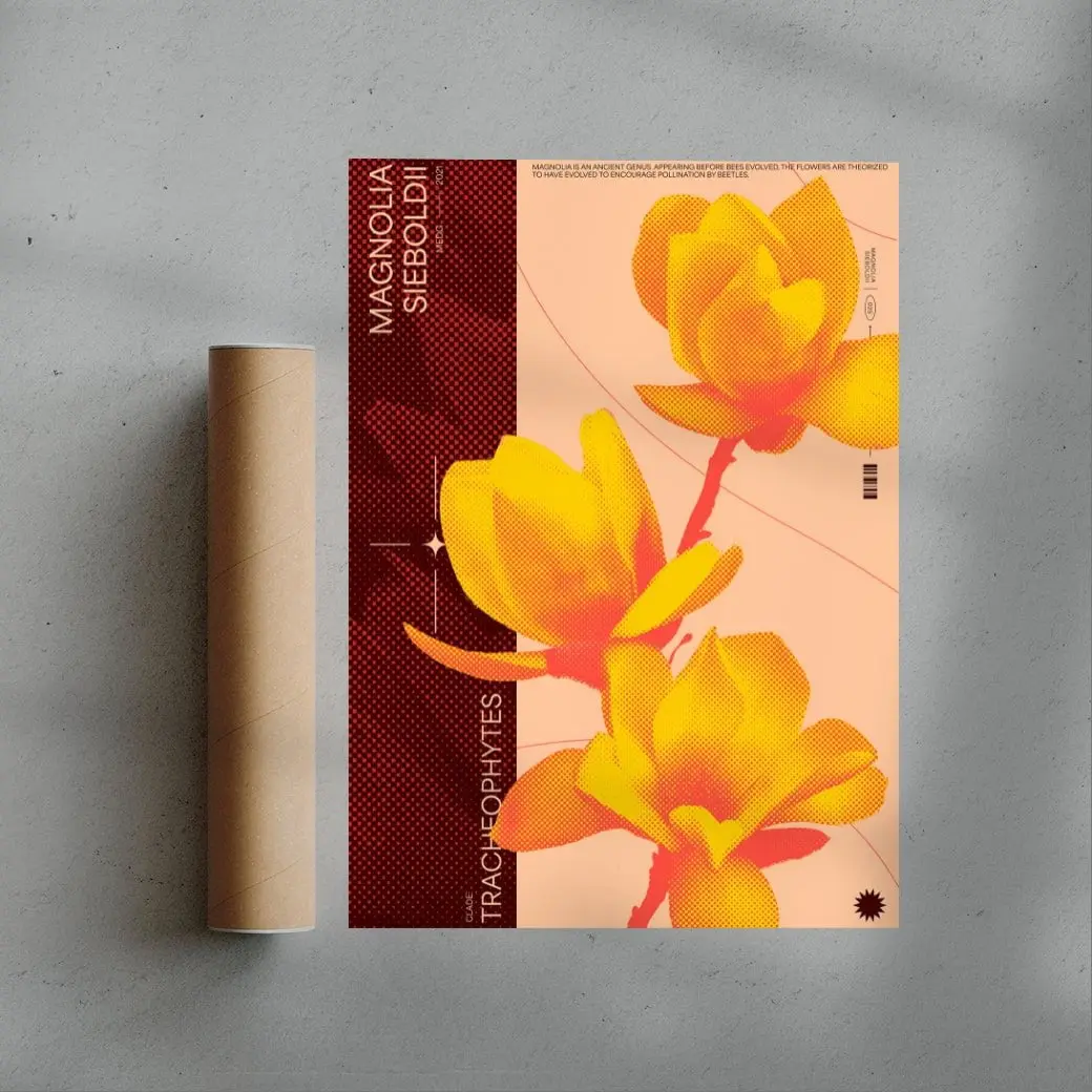 18221-magnolia-3.webp Magnolia