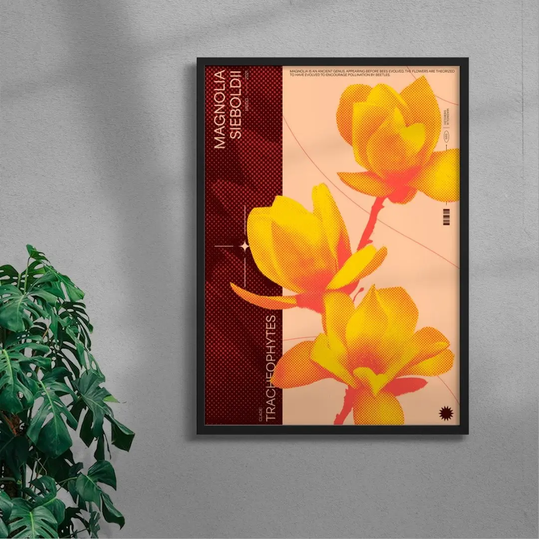 18221-magnolia-4.webp Magnolia