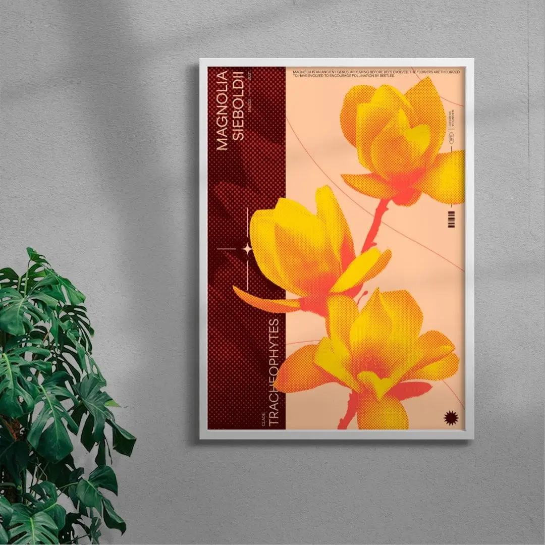 18221-magnolia-5.webp Magnolia
