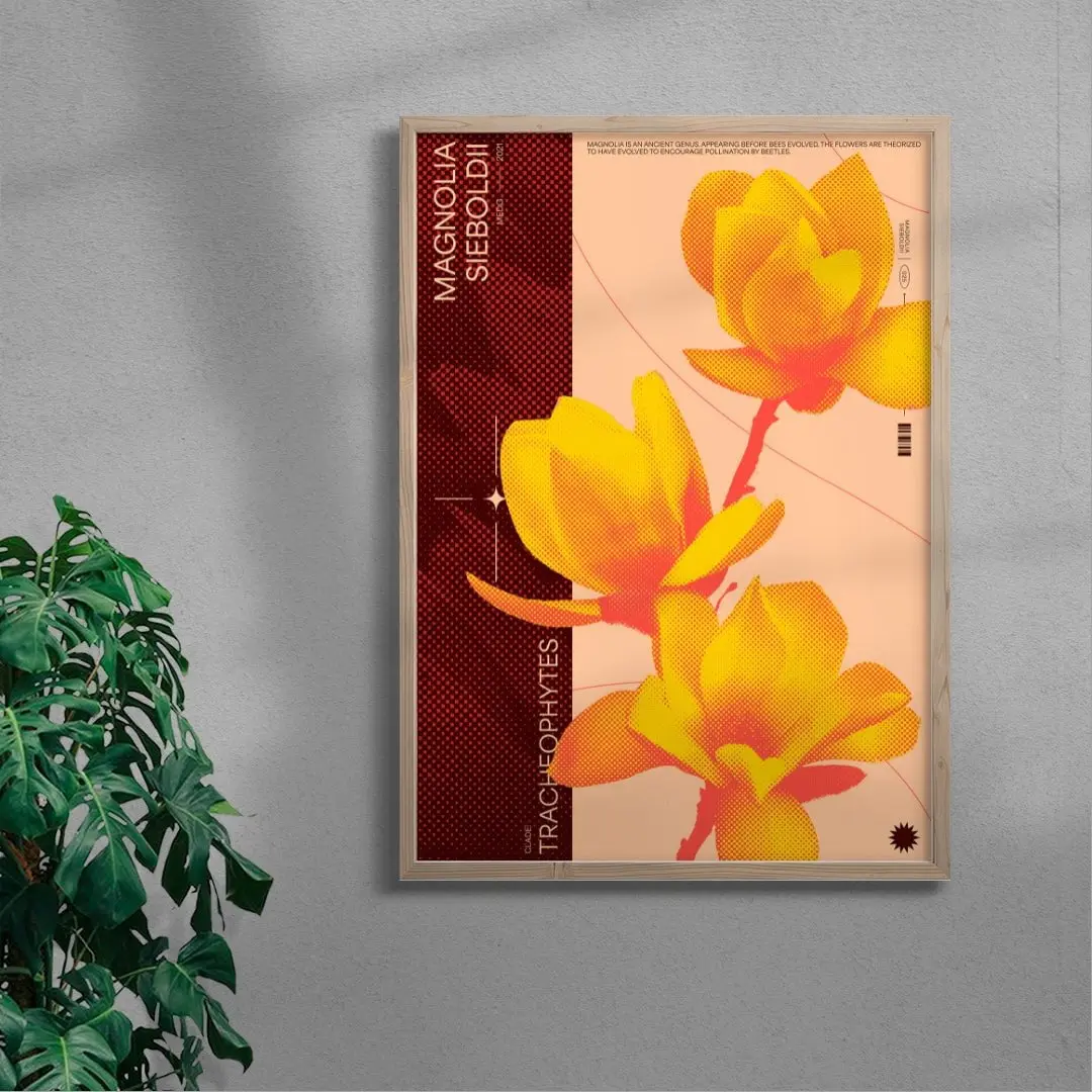 18221-magnolia-6.webp Magnolia