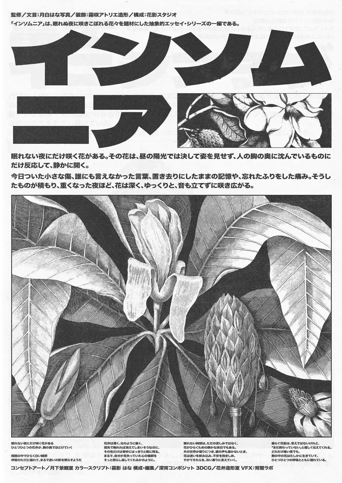 18595-insomnia-memory-of-flowers-2.webp Insomnia: Memory of Flowers