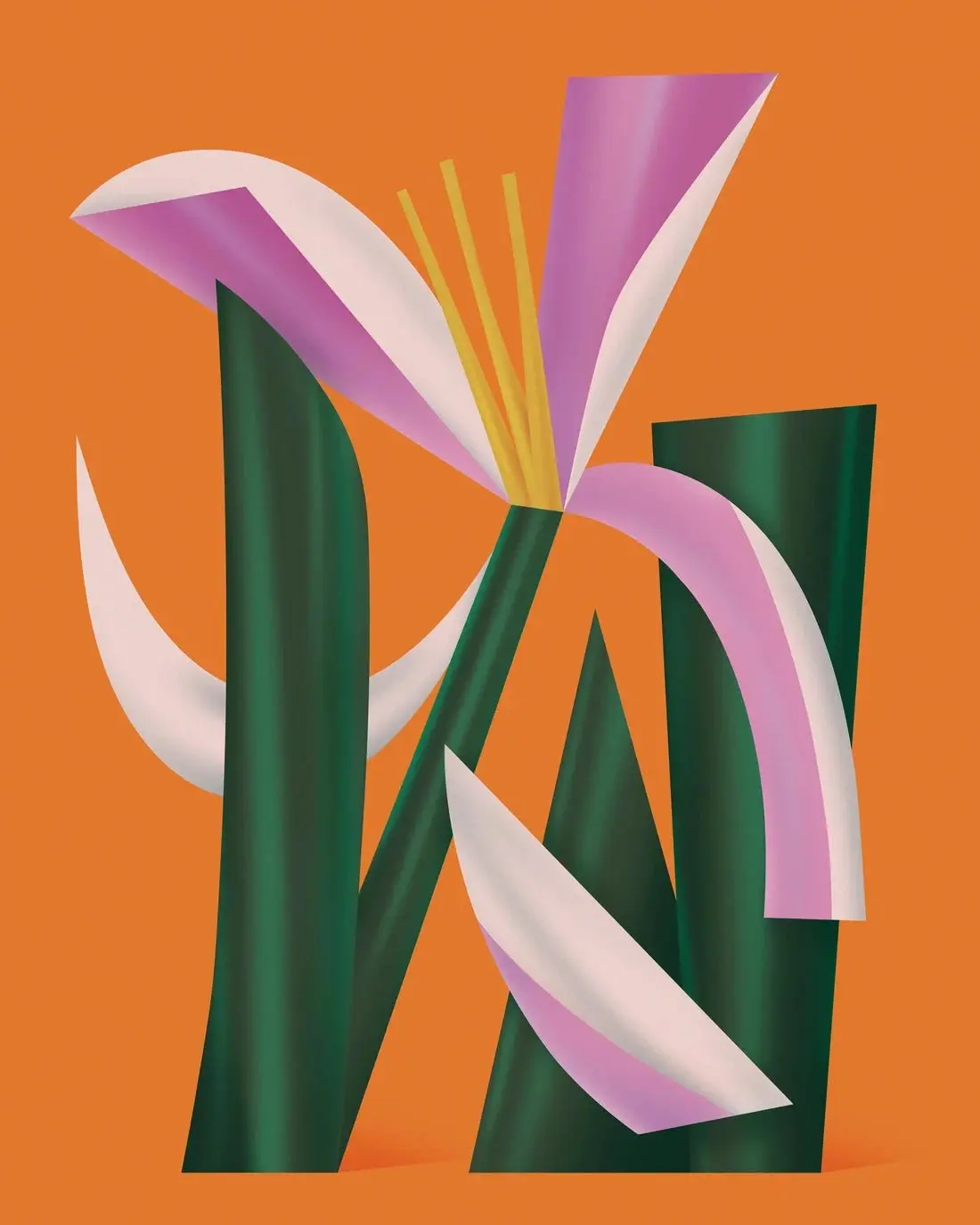 Lilium