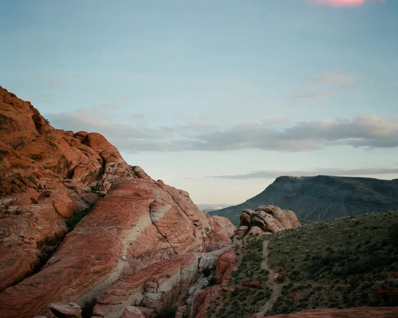 Desert Veins