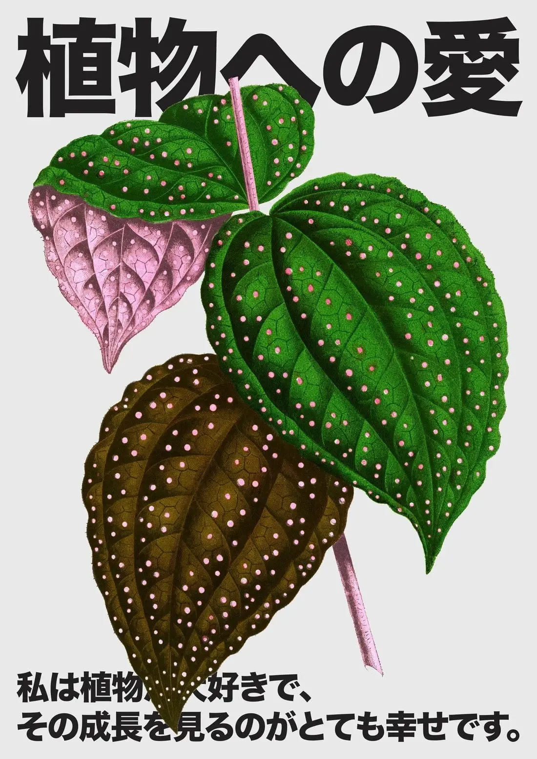 Plant Love 4