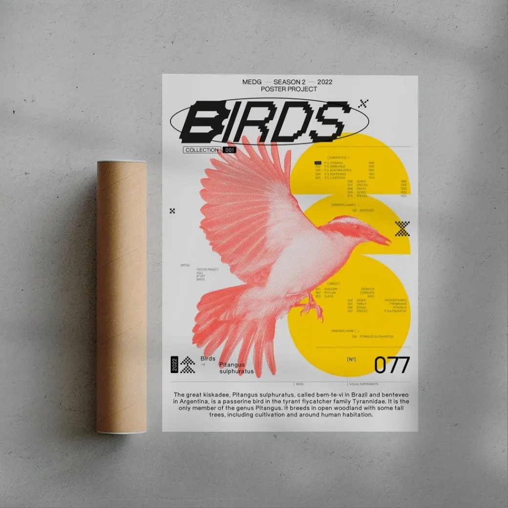 20242-birds-3.webp Birds