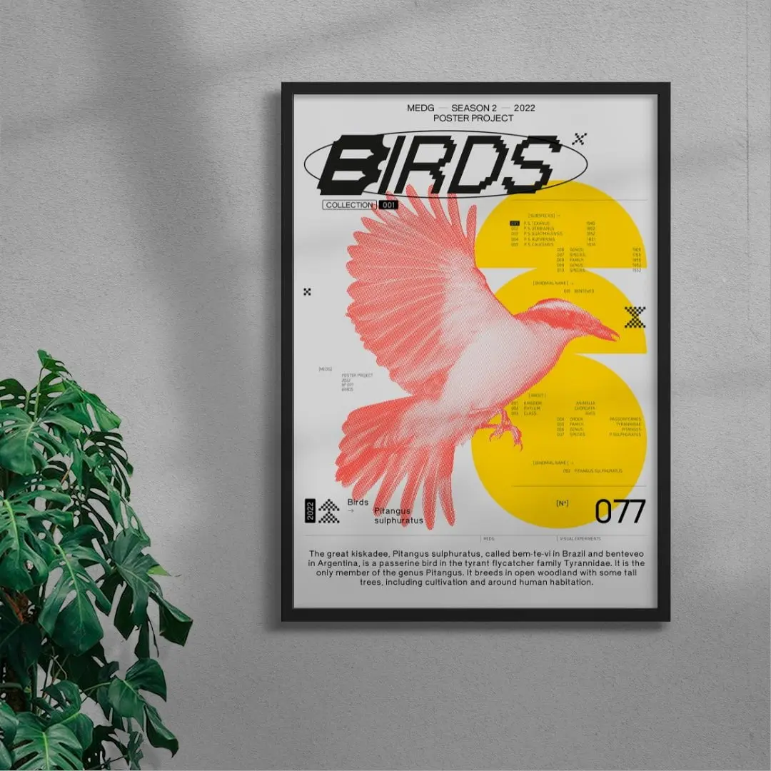 20242-birds-4.webp Birds