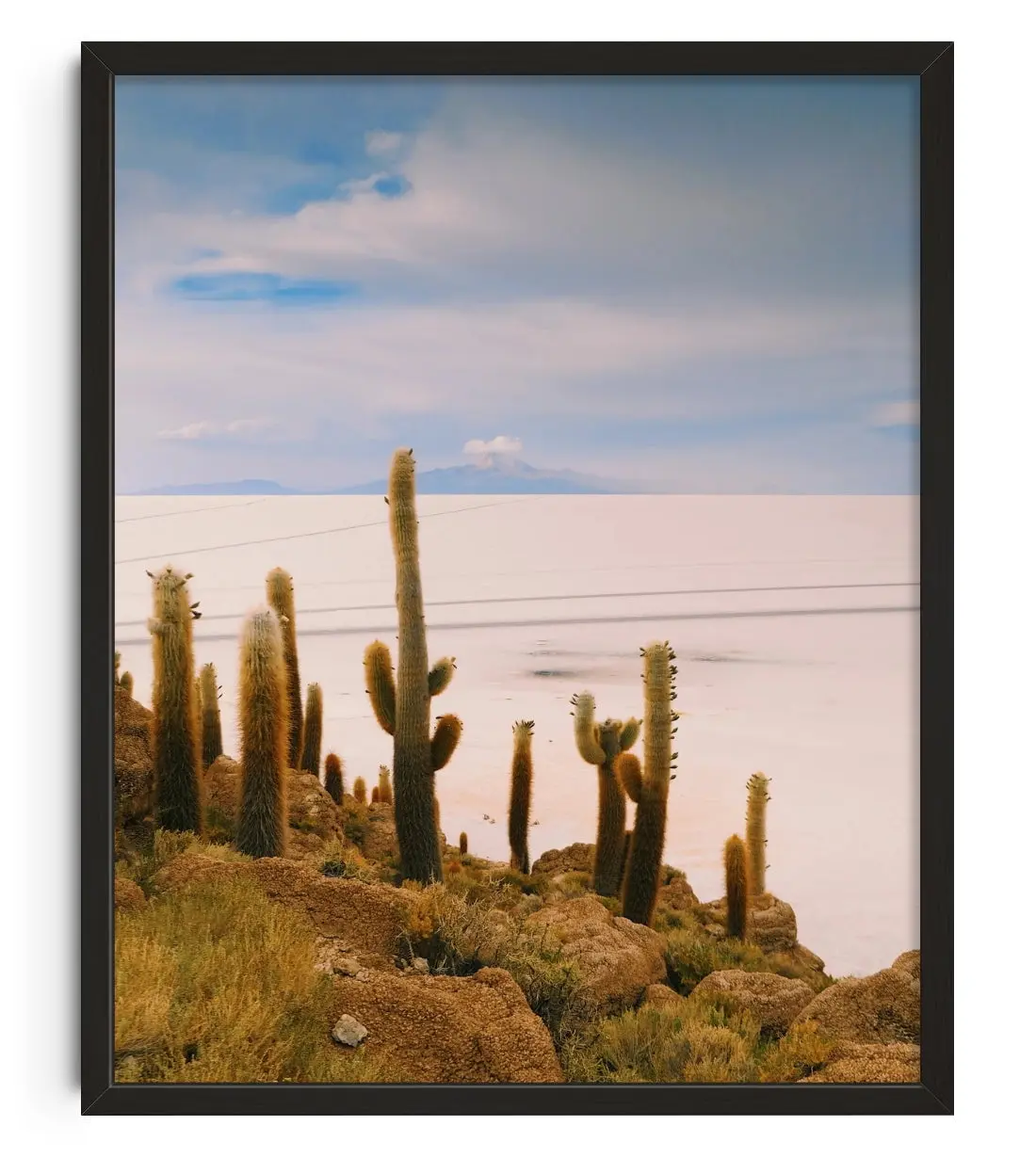 Salty Cacti