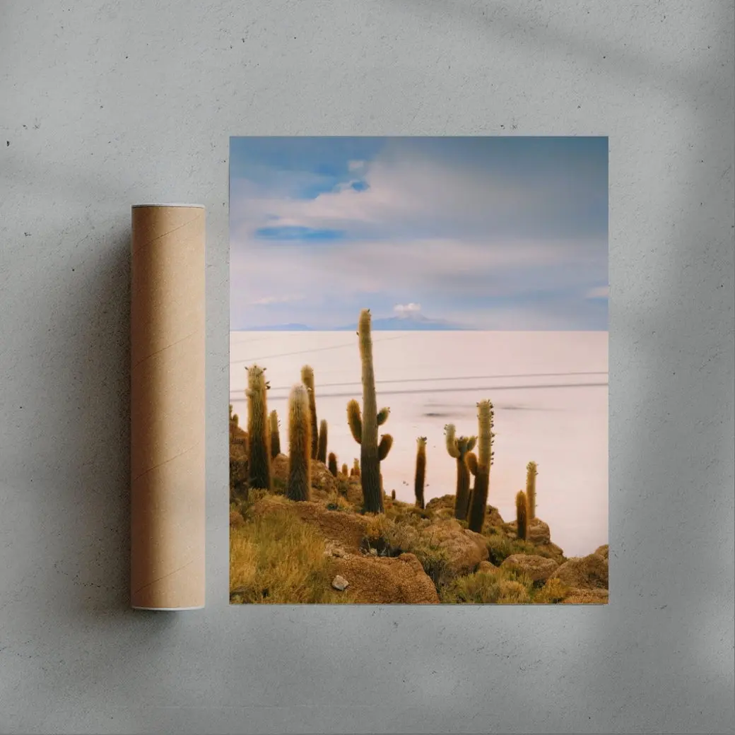 Salty Cacti