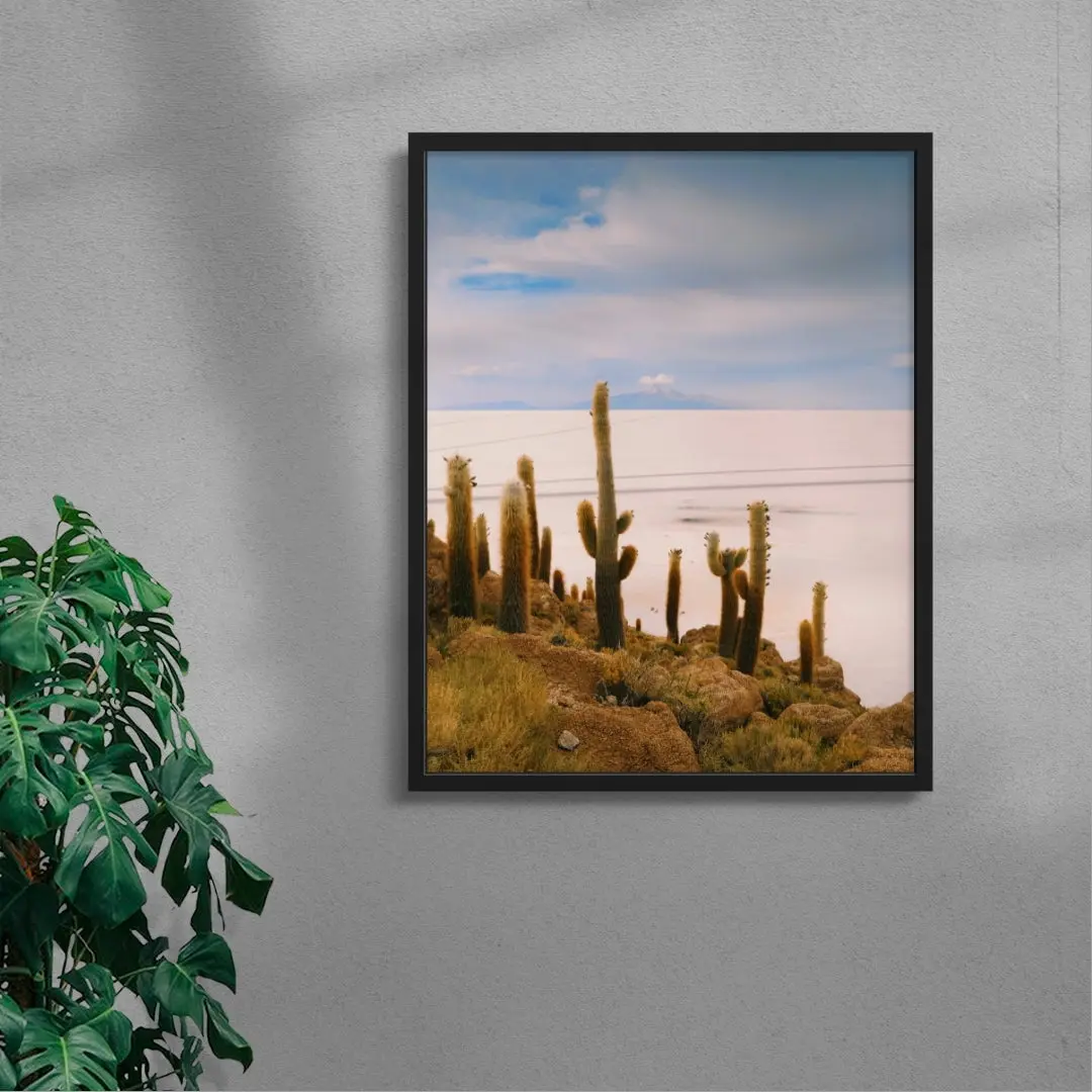 Salty Cacti