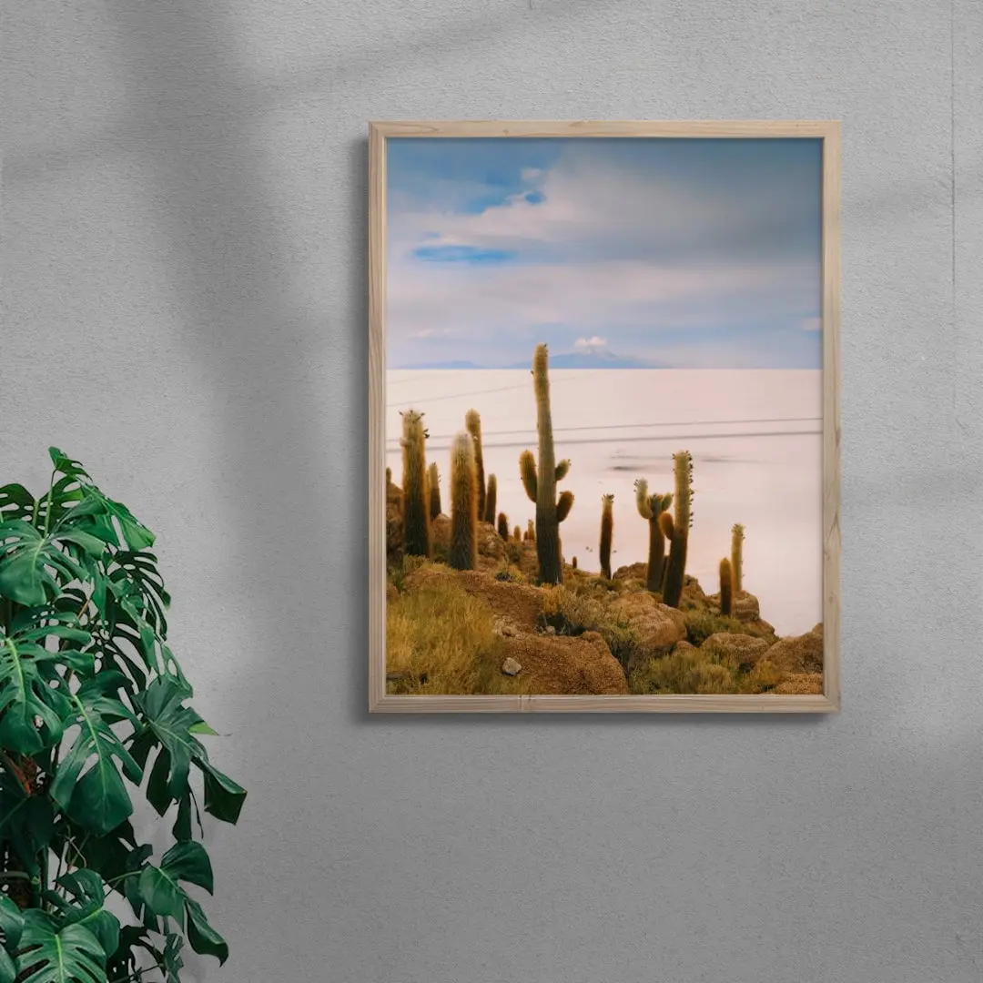 Salty Cacti
