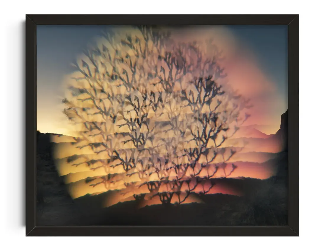 Desert Flash