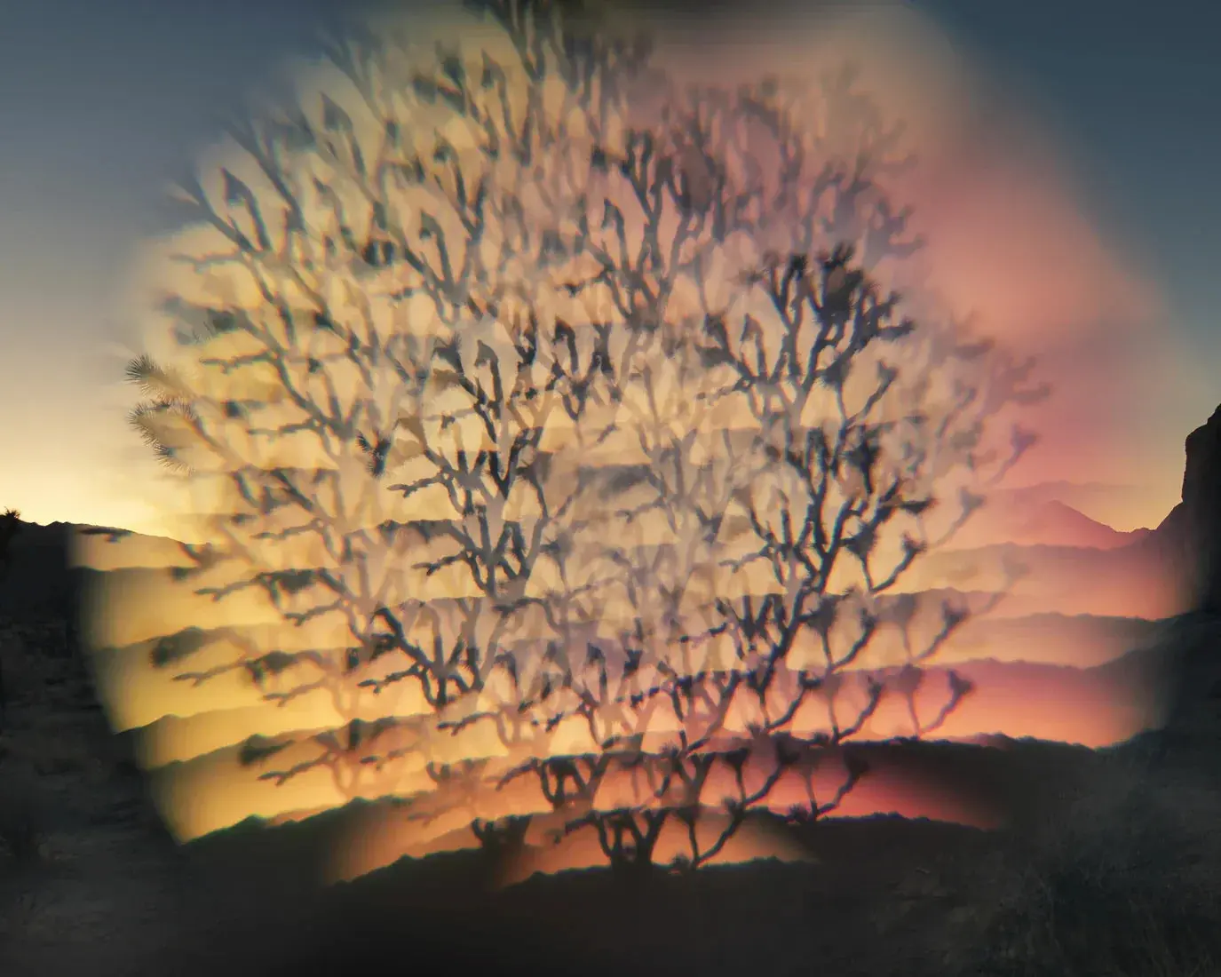 Desert Flash