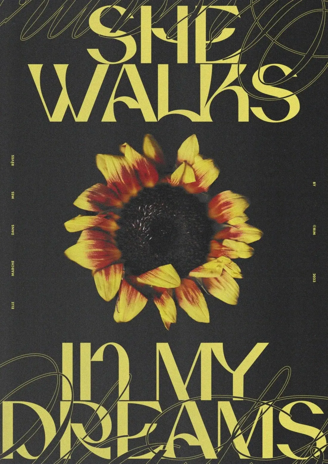 21753-she-walks-in-my-dreams-2.webp She Walks In My Dreams