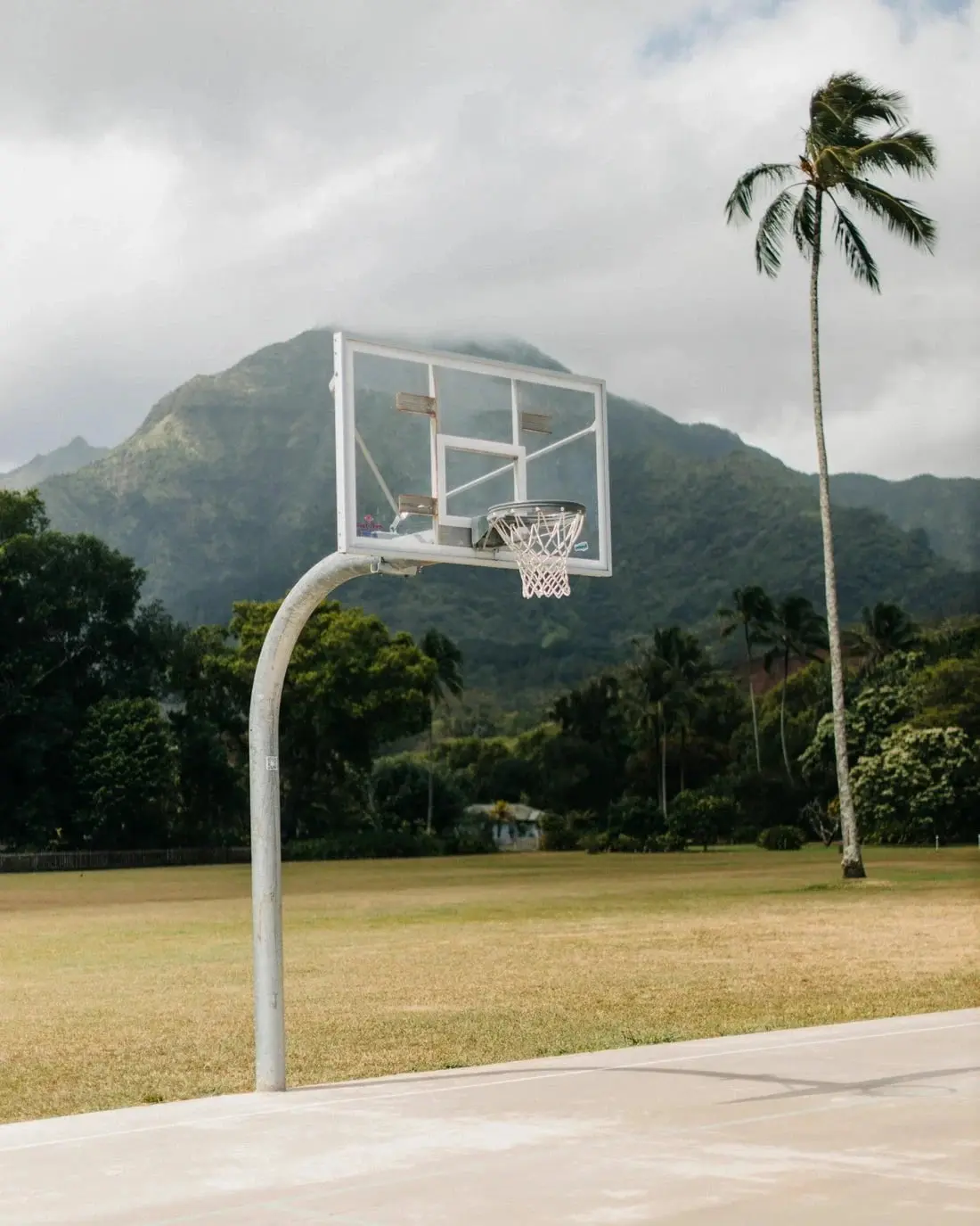 Hawaii Hoops