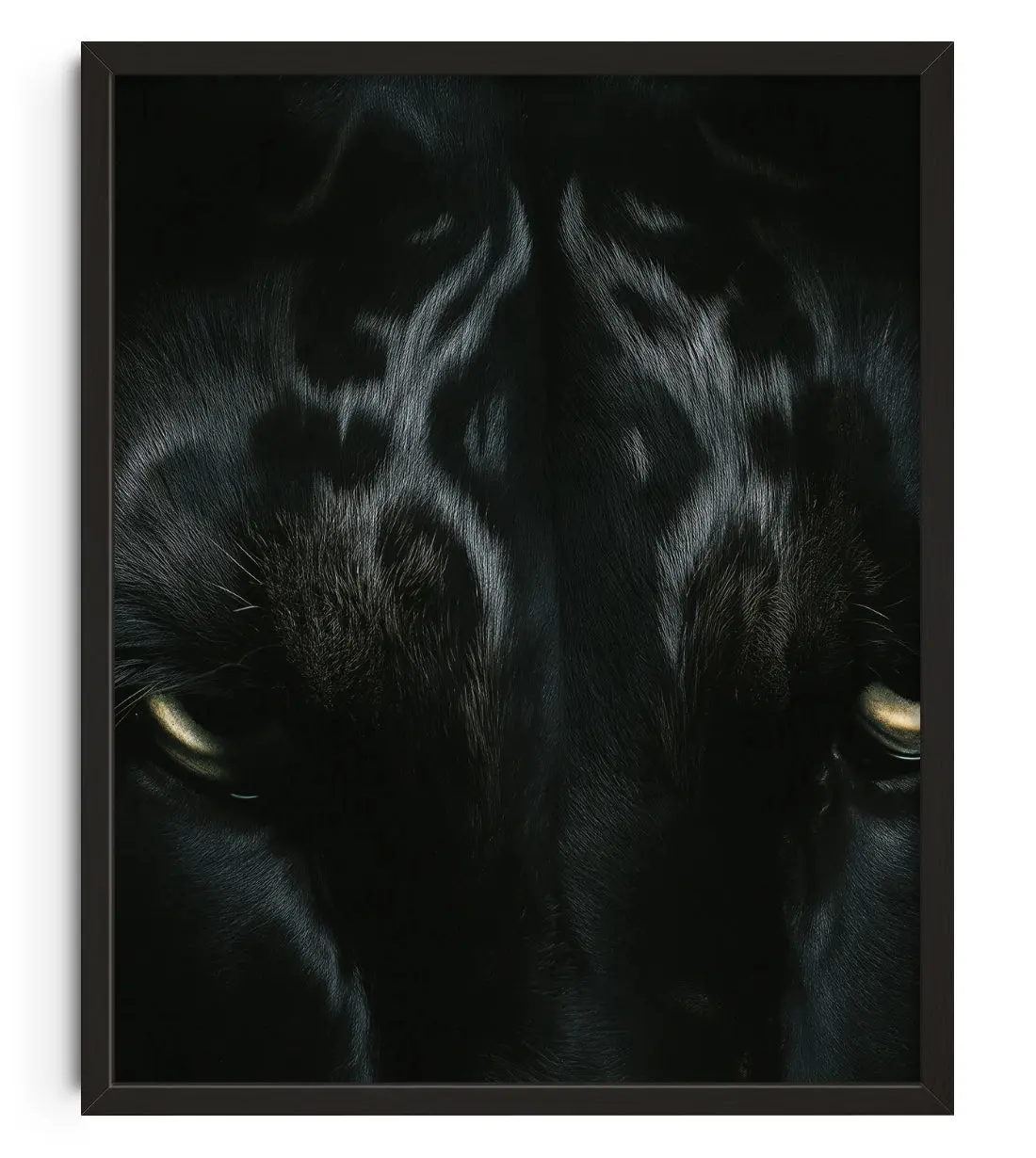 2362-black-lord-1.webp BLACK LORD