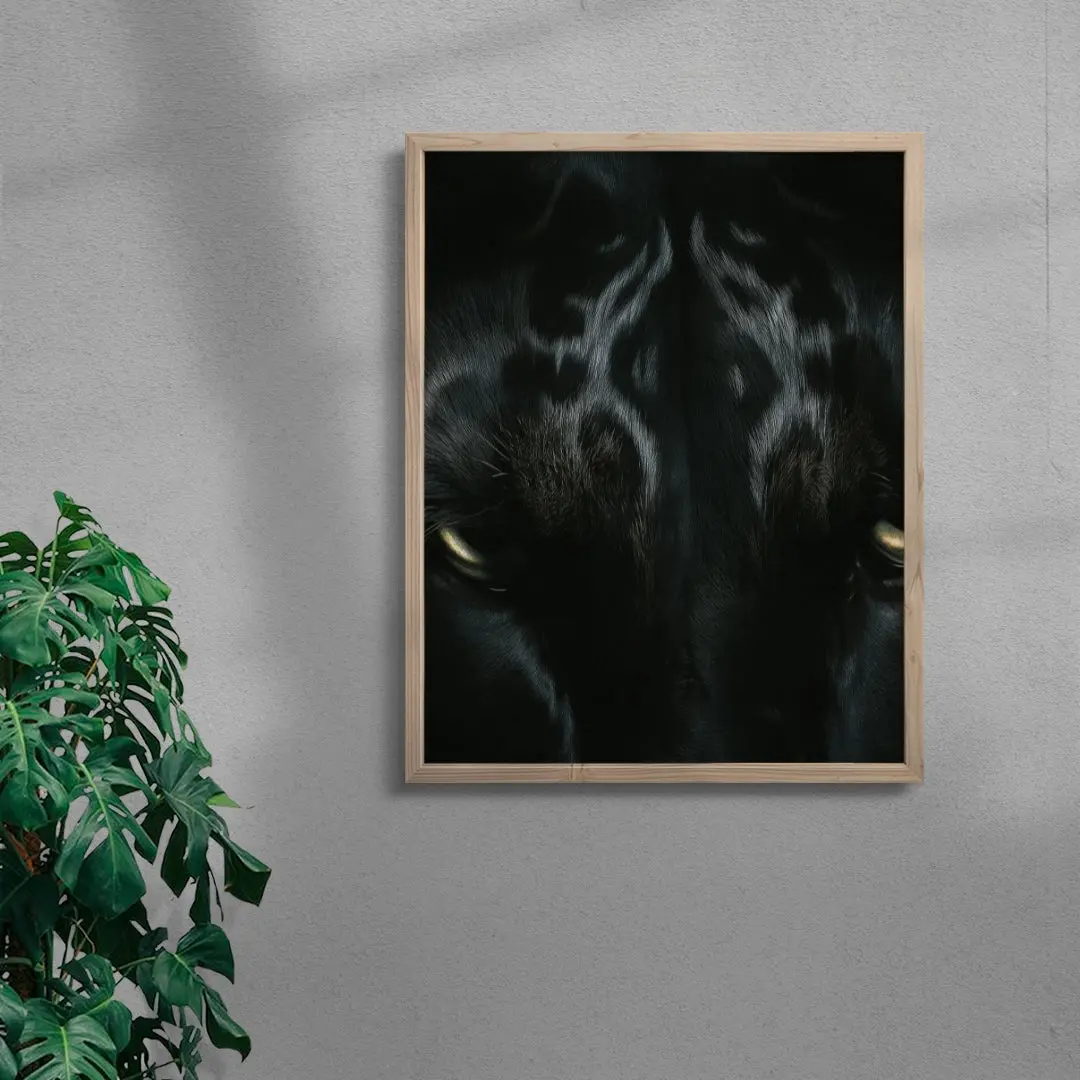 2362-black-lord-6.webp BLACK LORD
