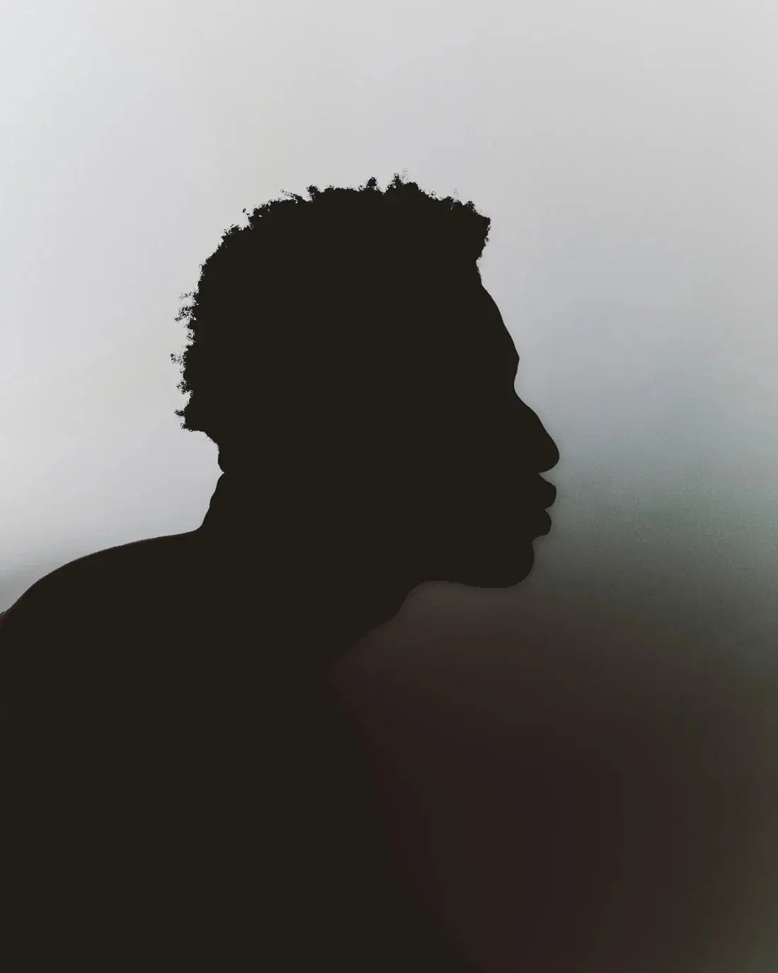 Profile Silhouette