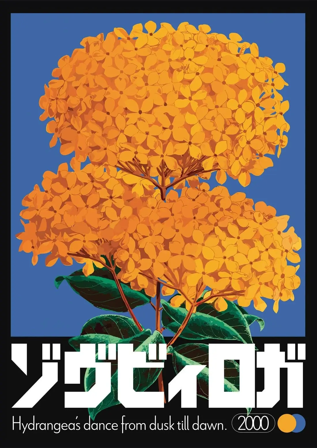 Hydrangea