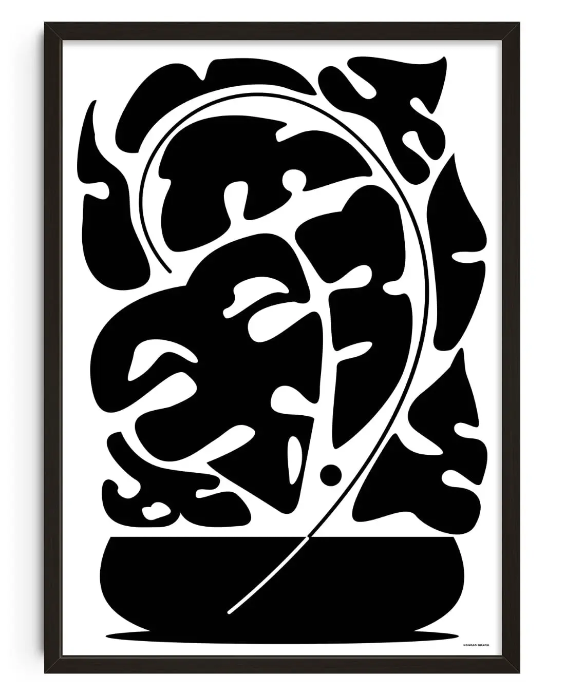 Monstera