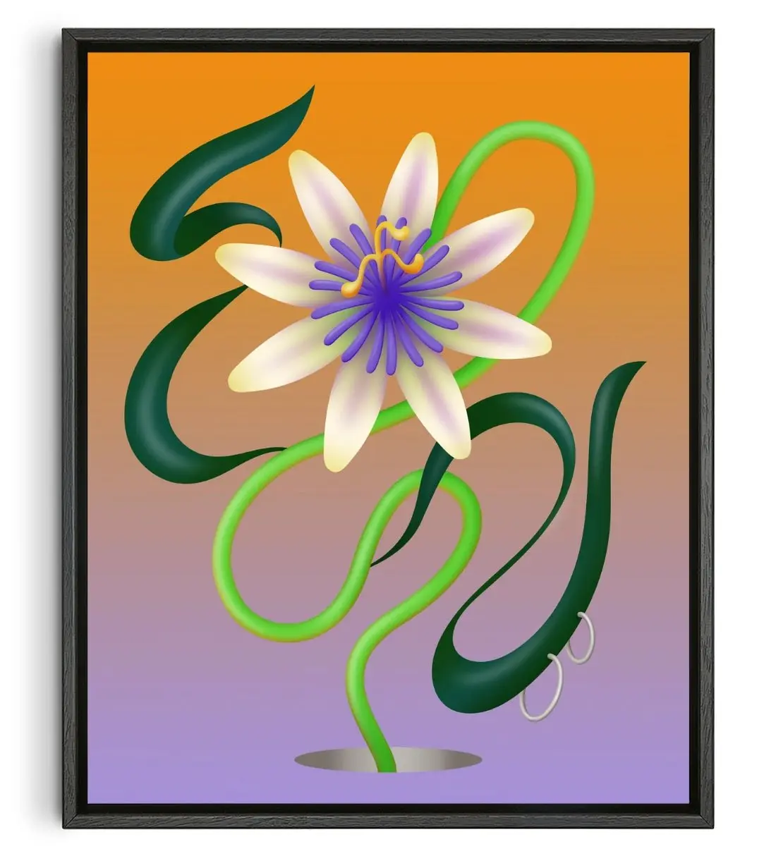 Passiflore