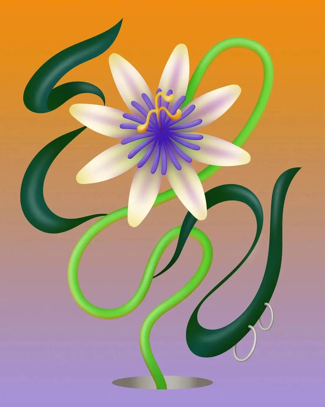 Passiflore