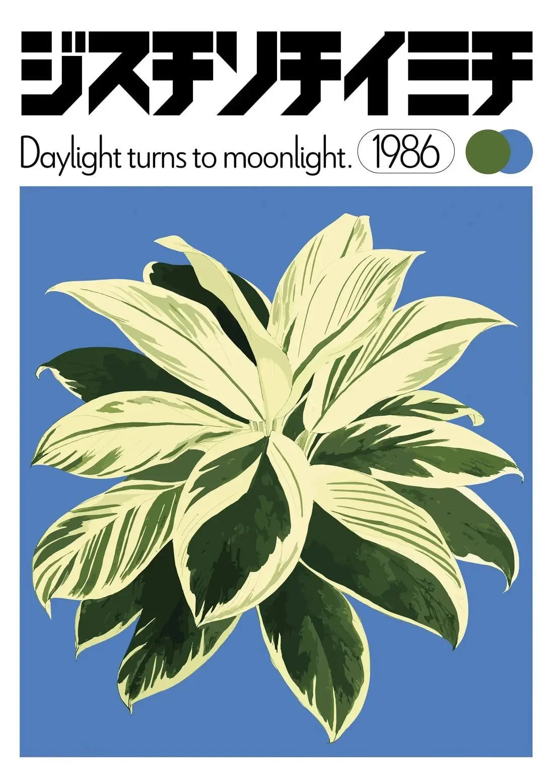 Dracaena