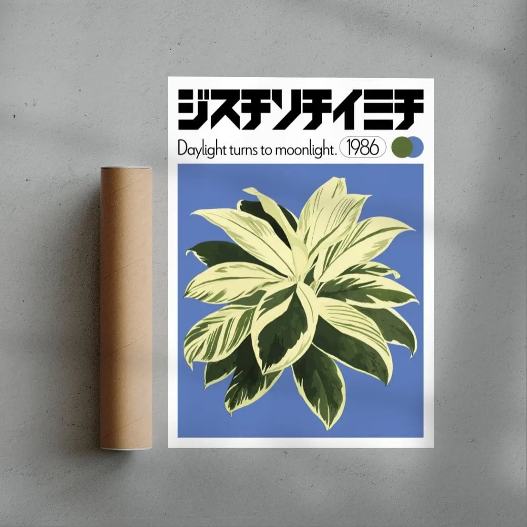 Dracaena