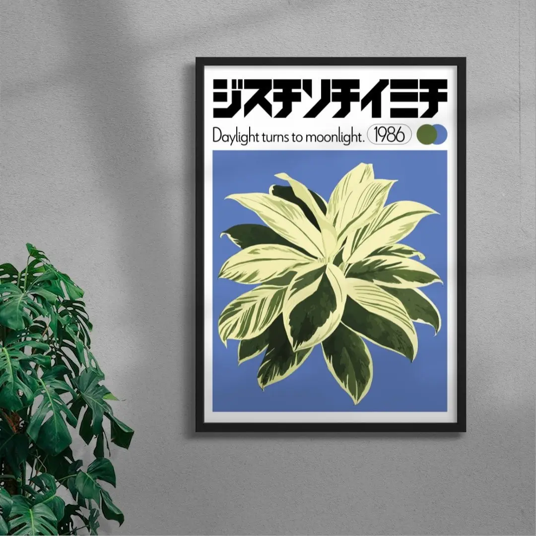 Dracaena