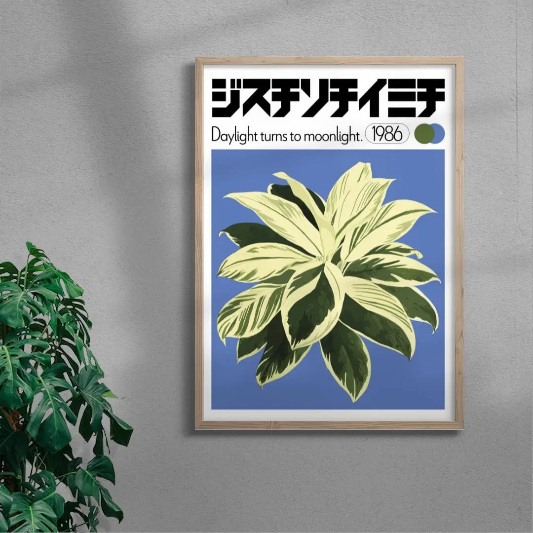 Dracaena