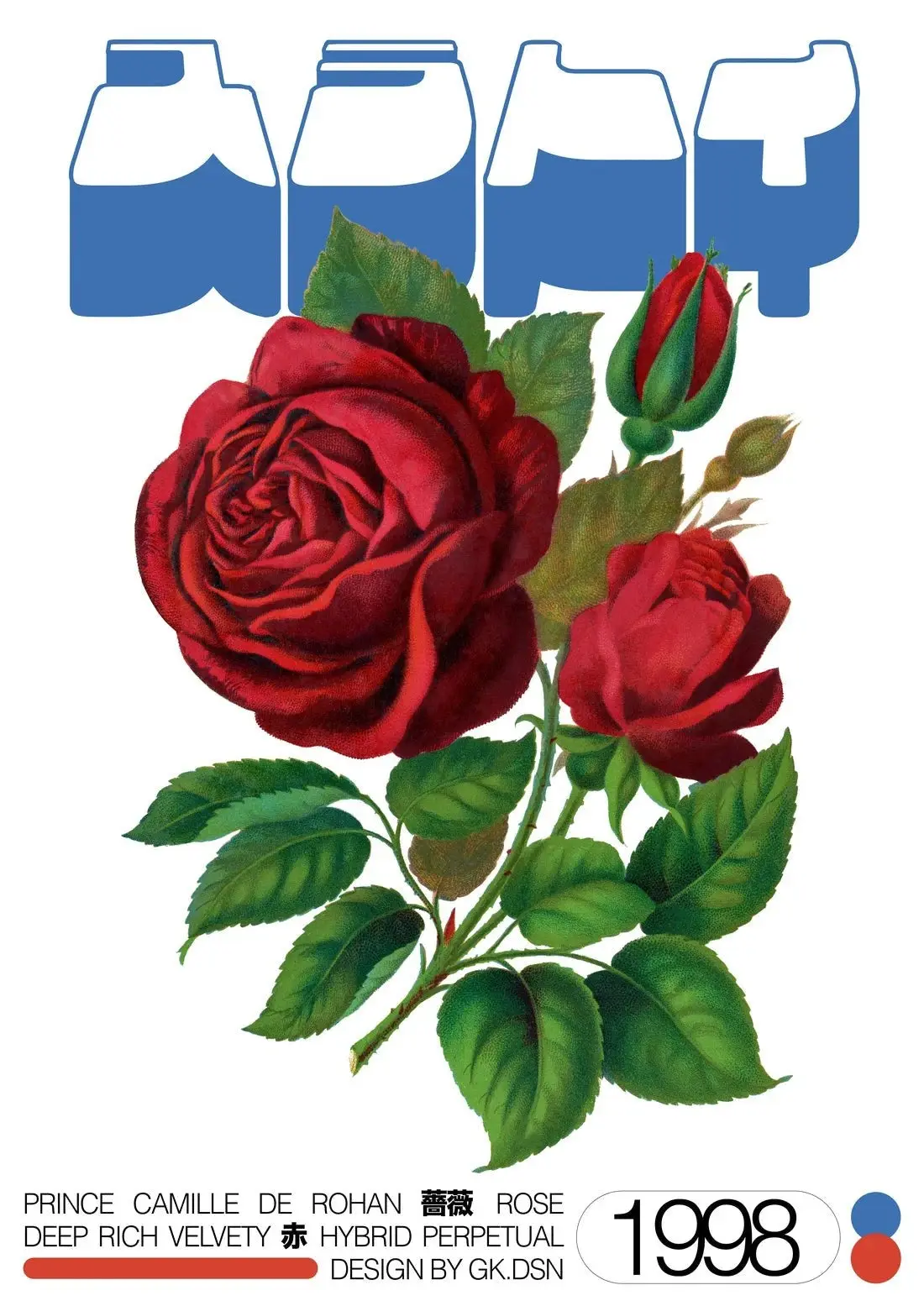 Hybrid Rose